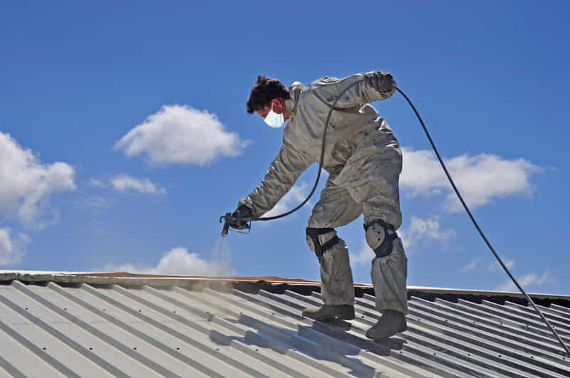 Roof Painting